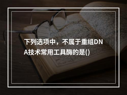 下列选项中，不属于重组DNA技术常用工具酶的是()