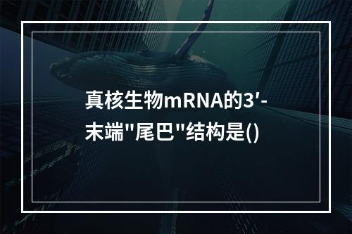 真核生物mRNA的3′-末端