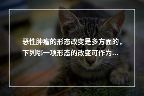 恶性肿瘤的形态改变是多方面的，下列哪一项形态的改变可作为诊断