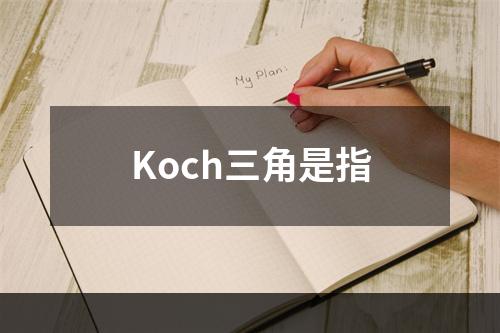 Koch三角是指