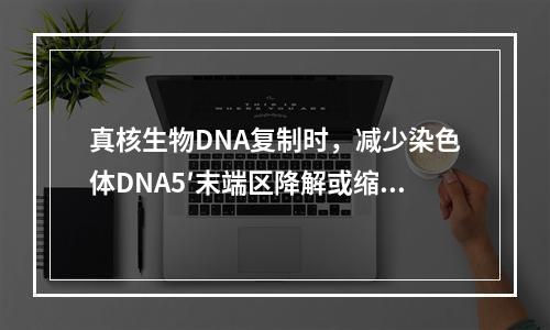 真核生物DNA复制时，减少染色体DNA5′末端区降解或缩短的