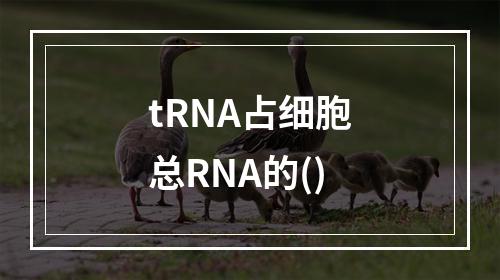 tRNA占细胞总RNA的()