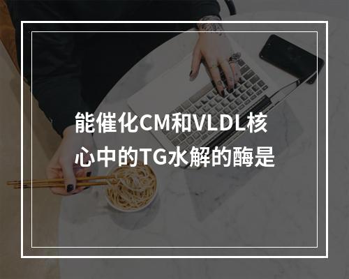 能催化CM和VLDL核心中的TG水解的酶是