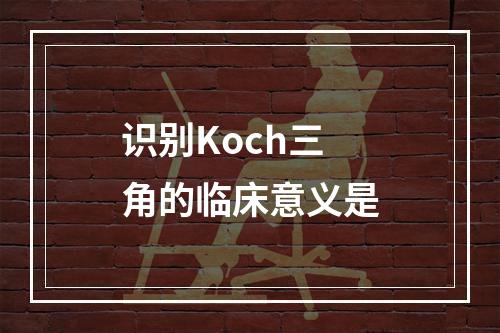 识别Koch三角的临床意义是