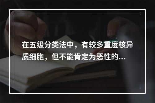 在五级分类法中，有较多重度核异质细胞，但不能肯定为恶性的是