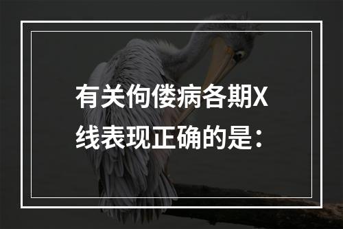 有关佝偻病各期X线表现正确的是：