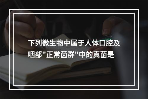 下列微生物中属于人体口腔及咽部