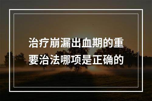 治疗崩漏出血期的重要治法哪项是正确的