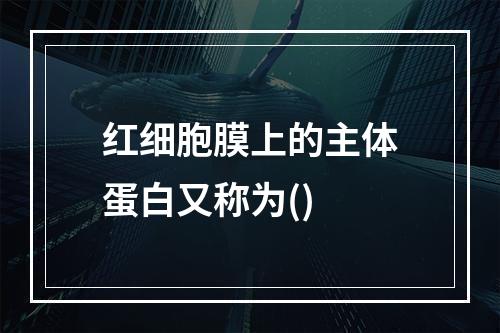 红细胞膜上的主体蛋白又称为()