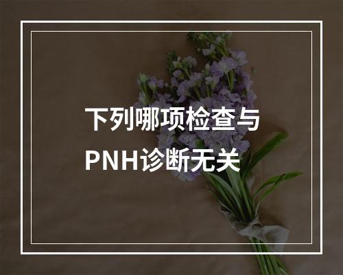 下列哪项检查与PNH诊断无关