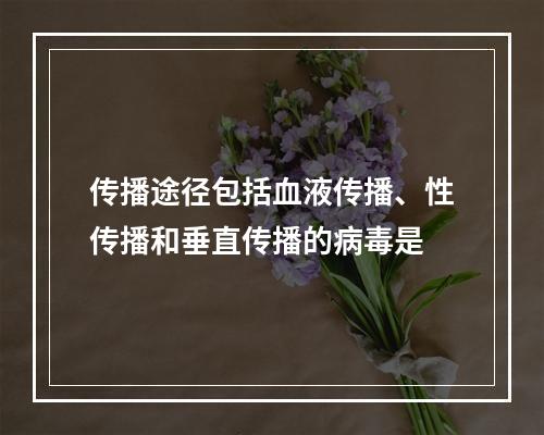 传播途径包括血液传播、性传播和垂直传播的病毒是