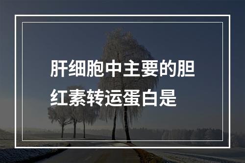 肝细胞中主要的胆红素转运蛋白是