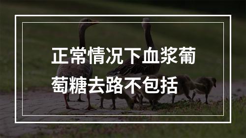 正常情况下血浆葡萄糖去路不包括