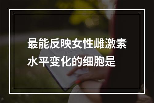 最能反映女性雌激素水平变化的细胞是