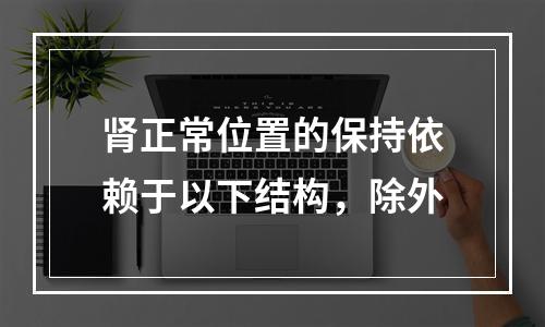 肾正常位置的保持依赖于以下结构，除外