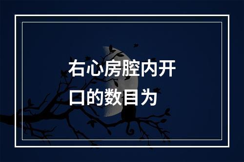 右心房腔内开口的数目为