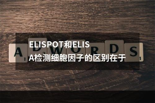 ELISPOT和ELISA检测细胞因子的区别在于