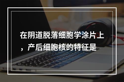 在阴道脱落细胞学涂片上，产后细胞核的特征是