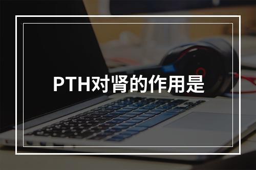 PTH对肾的作用是