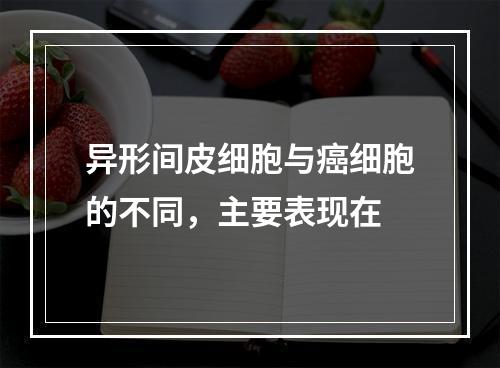 异形间皮细胞与癌细胞的不同，主要表现在