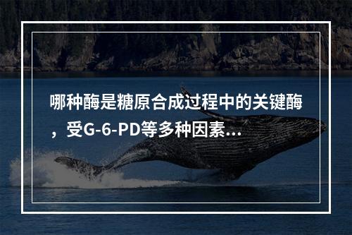 哪种酶是糖原合成过程中的关键酶，受G-6-PD等多种因素调控