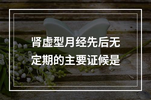 肾虚型月经先后无定期的主要证候是