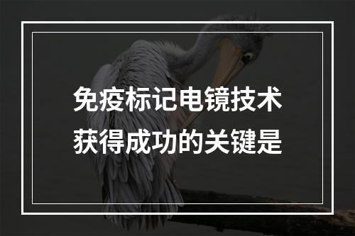 免疫标记电镜技术获得成功的关键是