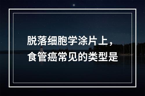 脱落细胞学涂片上，食管癌常见的类型是