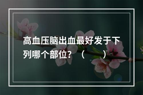 高血压脑出血最好发于下列哪个部位？（　　）