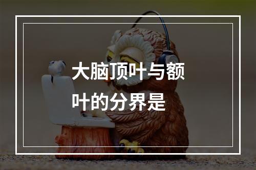 大脑顶叶与额叶的分界是