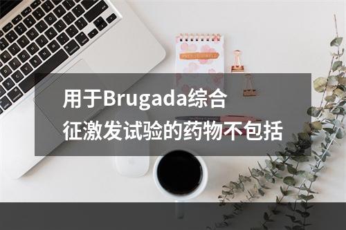 用于Brugada综合征激发试验的药物不包括