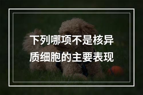 下列哪项不是核异质细胞的主要表现