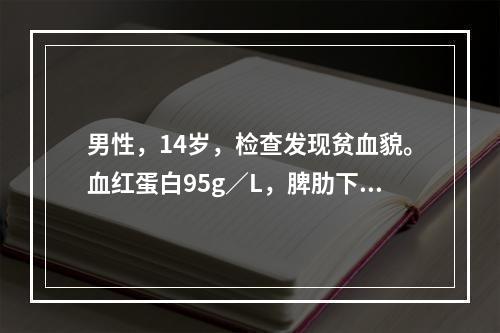 男性，14岁，检查发现贫血貌。血红蛋白95g／L，脾肋下5c