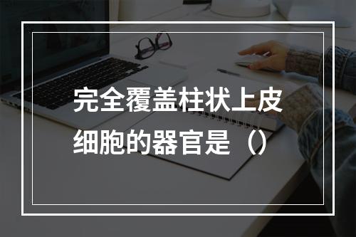 完全覆盖柱状上皮细胞的器官是（）