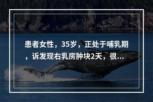 患者女性，35岁，正处于哺乳期，诉发现右乳房肿块2天，很快发