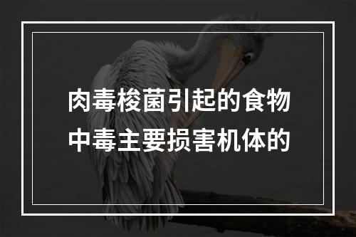 肉毒梭菌引起的食物中毒主要损害机体的