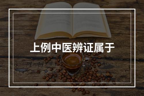 上例中医辨证属于