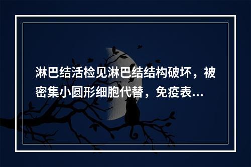 淋巴结活检见淋巴结结构破坏，被密集小圆形细胞代替，免疫表型：