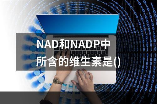 NAD和NADP中所含的维生素是()