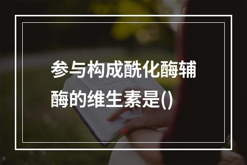 参与构成酰化酶辅酶的维生素是()