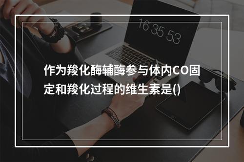 作为羧化酶辅酶参与体内CO固定和羧化过程的维生素是()