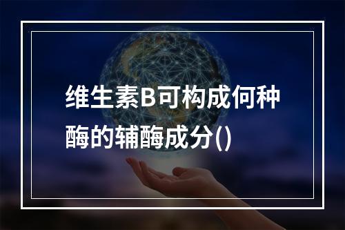 维生素B可构成何种酶的辅酶成分()