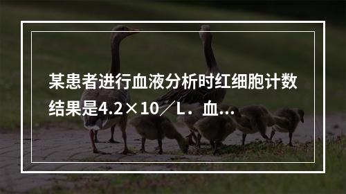 某患者进行血液分析时红细胞计数结果是4.2×10／L．血红蛋