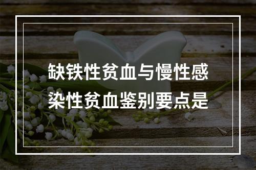 缺铁性贫血与慢性感染性贫血鉴别要点是