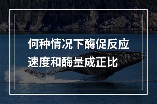 何种情况下酶促反应速度和酶量成正比