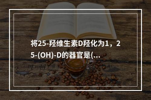 将25-羟维生素D羟化为1，25-(OH)-D的器官是()