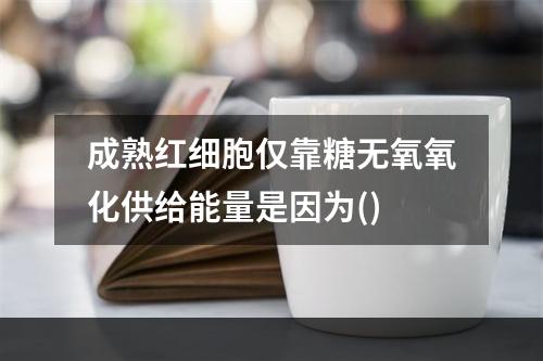 成熟红细胞仅靠糖无氧氧化供给能量是因为()