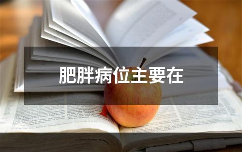 肥胖病位主要在