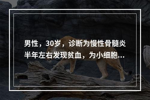 男性，30岁，诊断为慢性骨髓炎半年左右发现贫血，为小细胞低色