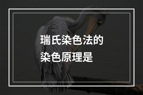 瑞氏染色法的染色原理是